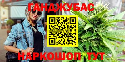 индика Шелехов