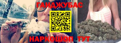 индика Шелехов